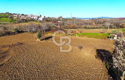 Çanakkale Merkez Musaköy’de Asfalt Yola Cepheli, Merkeze Yakın 1.350 m² Satılık Tarla