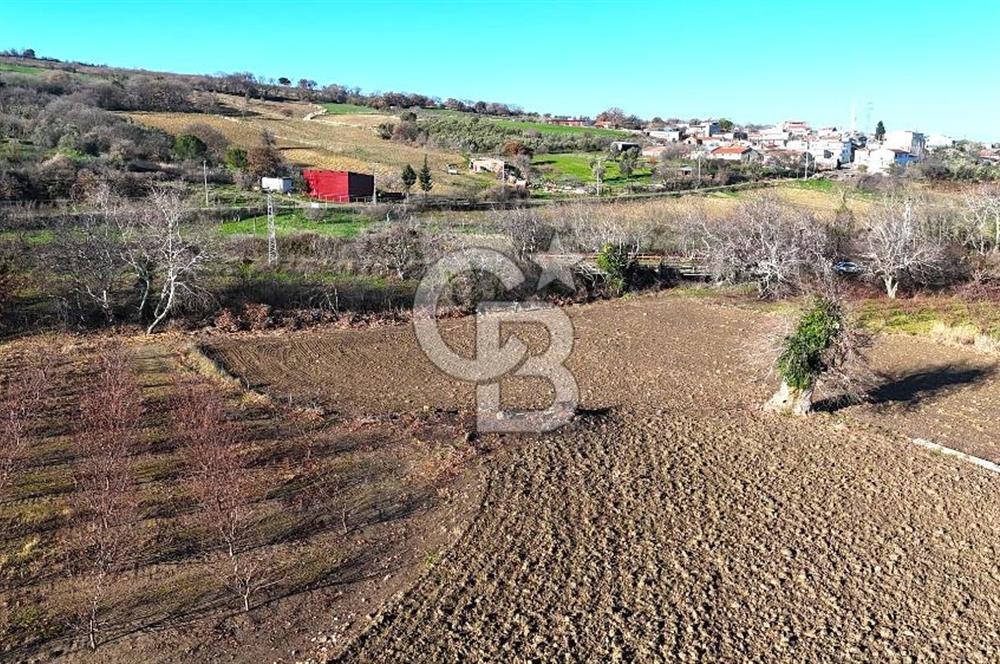 Çanakkale Merkez Musaköy’de Asfalt Yola Cepheli, Merkeze Yakın 1.350 m² Satılık Tarla