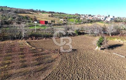 Çanakkale Merkez Musaköy’de Asfalt Yola Cepheli, Merkeze Yakın 1.350 m² Satılık Tarla