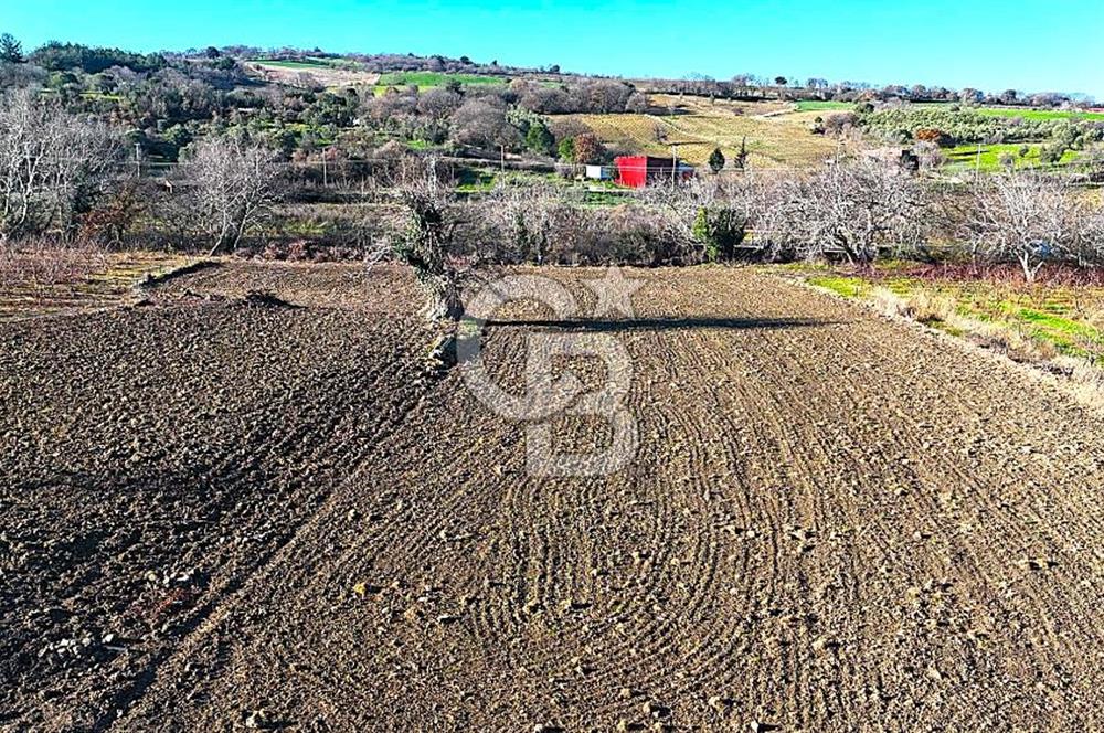 Çanakkale Merkez Musaköy’de Asfalt Yola Cepheli, Merkeze Yakın 1.350 m² Satılık Tarla