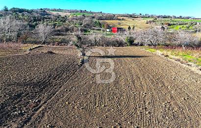 Çanakkale Merkez Musaköy’de Asfalt Yola Cepheli, Merkeze Yakın 1.350 m² Satılık Tarla