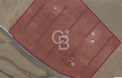 BALA’DA  EKOLOJİK TARIMA UYGUN SATILIK TARLA