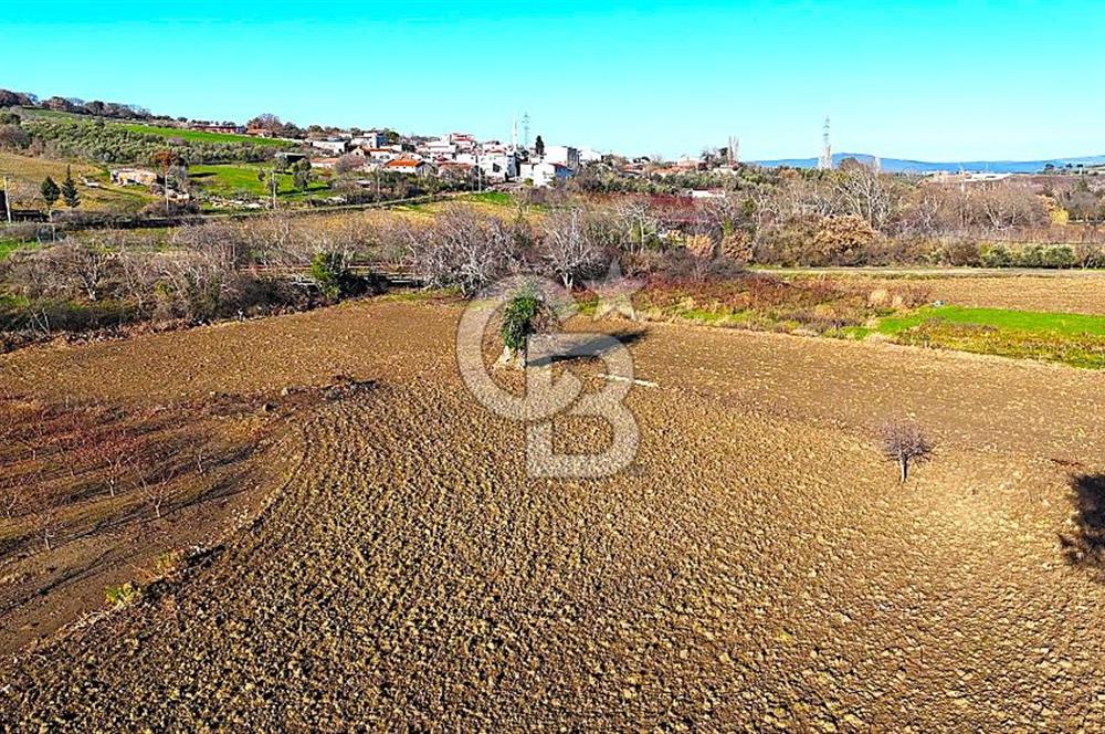Çanakkale Merkez Musaköy’de Asfalt Yola Cepheli, Merkeze Yakın 1.350 m² Satılık Tarla