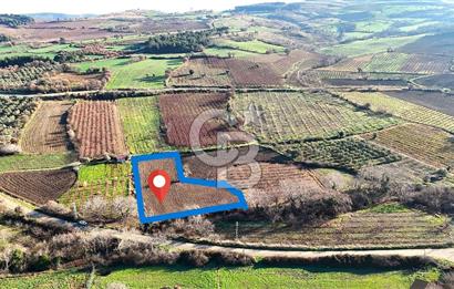 Çanakkale Merkez Musaköy’de Asfalt Yola Cepheli, Merkeze Yakın 1.350 m² Satılık Tarla