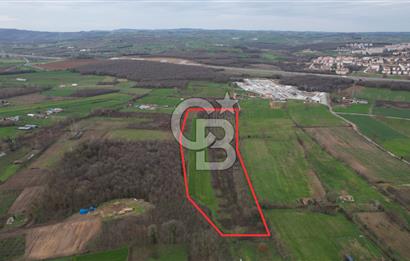 Alandüzü Şehir Hastanesi Yakını |39.410m2 Tarla| İmar Sınırında!