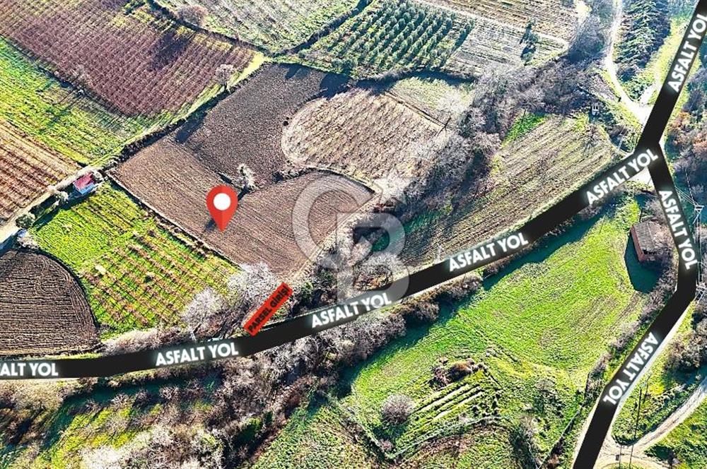 Çanakkale Merkez Musaköy’de Asfalt Yola Cepheli, Merkeze Yakın 1.350 m² Satılık Tarla