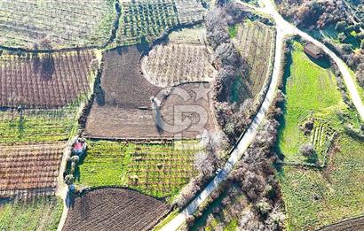 Çanakkale Merkez Musaköy’de Asfalt Yola Cepheli, Merkeze Yakın 1.350 m² Satılık Tarla