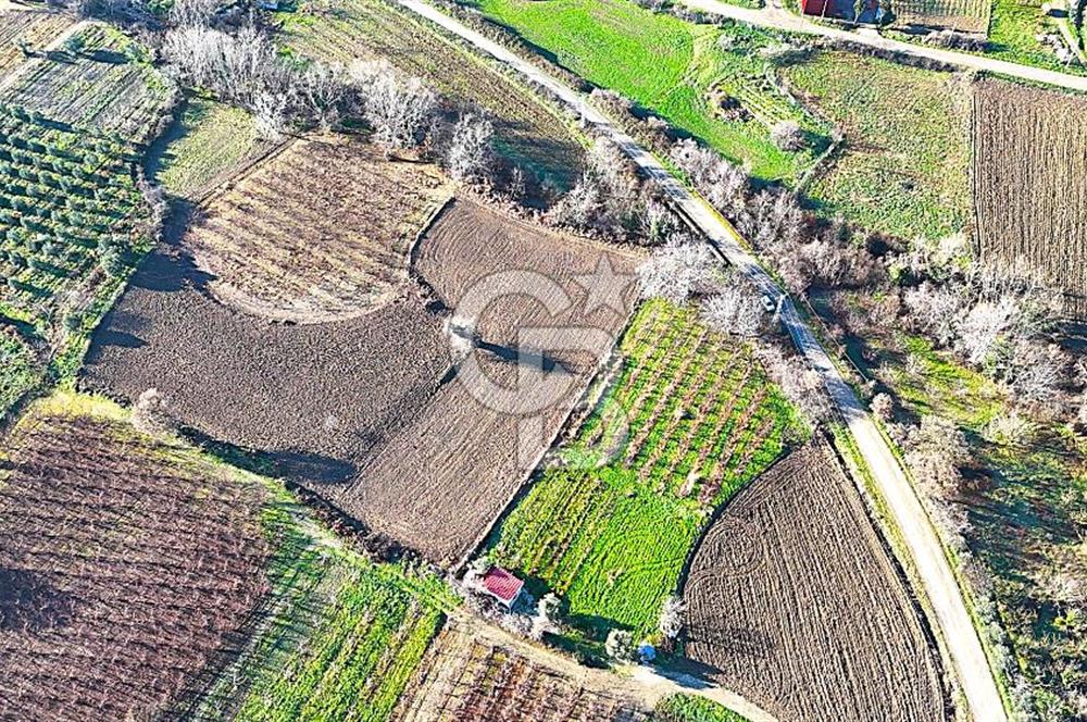 Çanakkale Merkez Musaköy’de Asfalt Yola Cepheli, Merkeze Yakın 1.350 m² Satılık Tarla