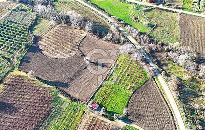 Çanakkale Merkez Musaköy’de Asfalt Yola Cepheli, Merkeze Yakın 1.350 m² Satılık Tarla