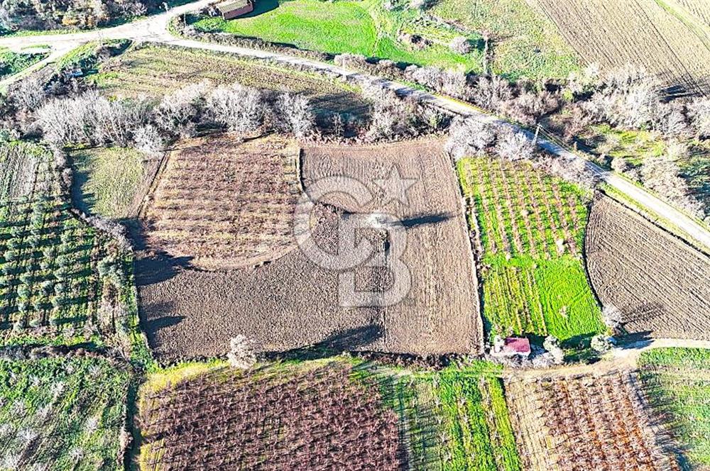 Çanakkale Merkez Musaköy’de Asfalt Yola Cepheli, Merkeze Yakın 1.350 m² Satılık Tarla