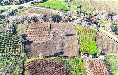 Çanakkale Merkez Musaköy’de Asfalt Yola Cepheli, Merkeze Yakın 1.350 m² Satılık Tarla