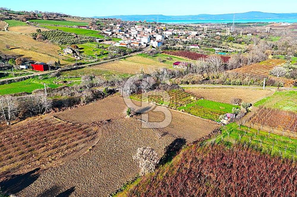 Çanakkale Merkez Musaköy’de Asfalt Yola Cepheli, Merkeze Yakın 1.350 m² Satılık Tarla