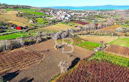 Çanakkale Merkez Musaköy’de Asfalt Yola Cepheli, Merkeze Yakın 1.350 m² Satılık Tarla