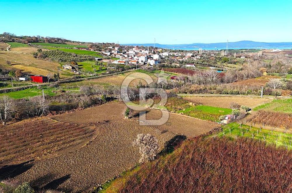 Çanakkale Merkez Musaköy’de Asfalt Yola Cepheli, Merkeze Yakın 1.350 m² Satılık Tarla