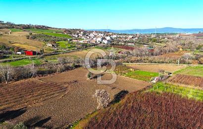 Çanakkale Merkez Musaköy’de Asfalt Yola Cepheli, Merkeze Yakın 1.350 m² Satılık Tarla