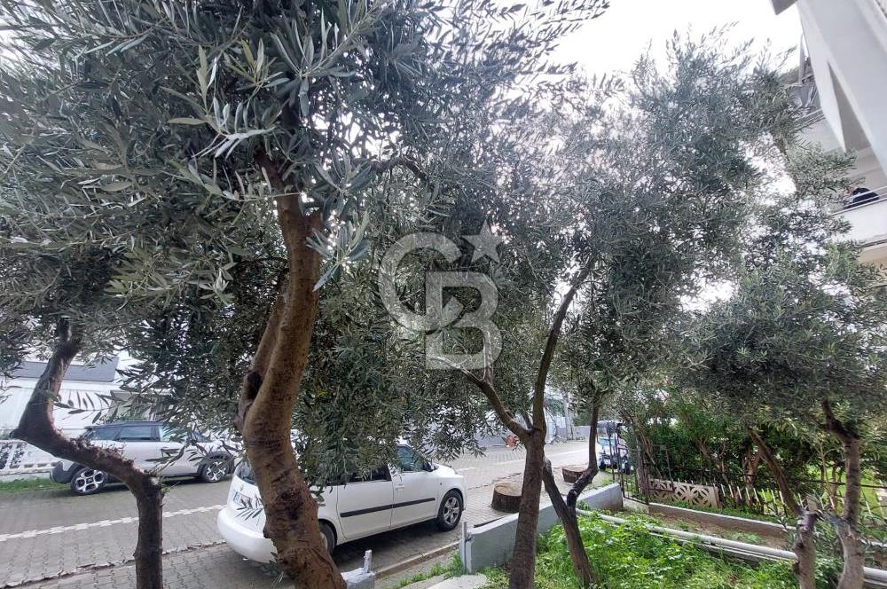 Balıkesir Ayvalık Küçükköy mah Sarımsaklı satılık 1+1 bahçe katı