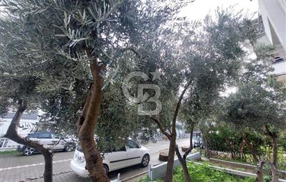 Balıkesir Ayvalık Küçükköy mah Sarımsaklı satılık 1+1 bahçe katı