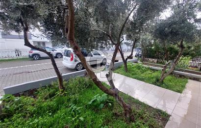 Balıkesir Ayvalık Küçükköy mah Sarımsaklı satılık 1+1 bahçe katı