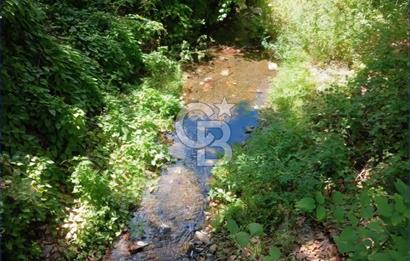 ÇANAKKALE BİGA KAYNARCA'DA 350 M2 BAHÇE