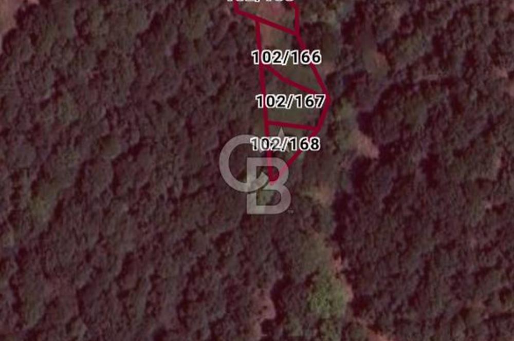 ÇANAKKALE BİGA KAYNARCA'DA 350 M2 BAHÇE