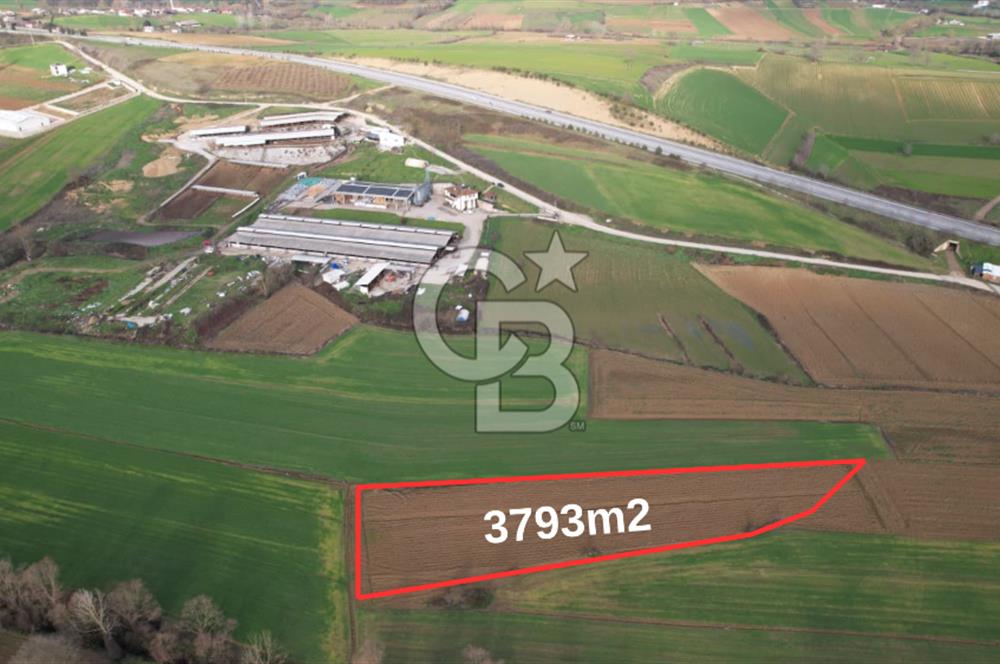 Adapazarı-Karadere'de Mükemmel Konumda | 3793m2 Tarla