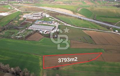 Adapazarı-Karadere'de Mükemmel Konumda | 3793m2 Tarla