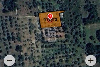 Milas Söğütçükte Yatırımlık 1.456 m2 Yatırımlık Ta - 1 - 326716