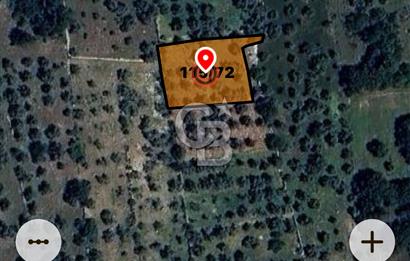 Milas Söğütçükte Yatırımlık 1.456 m2 Yatırımlık Ta