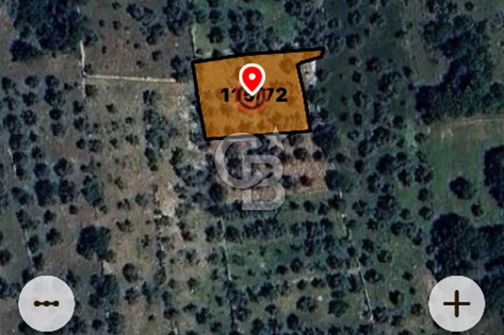 Milas Söğütçükte Yatırımlık 1.456 m2 Yatırımlık Ta