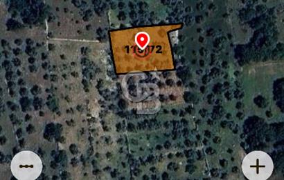 Milas Söğütçükte Yatırımlık 1.456 m2 Yatırımlık Ta