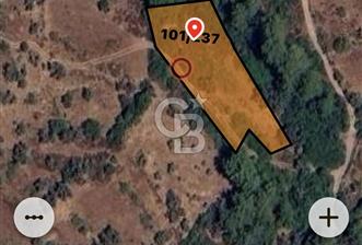 Milas,da Yatırımlık 1.633 m2 Satılık Tar - 8 - 326717