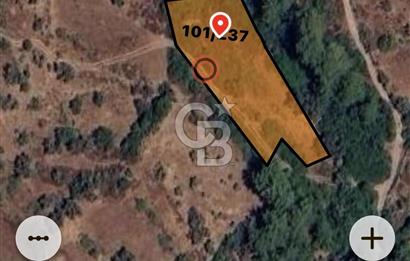 Milas,da Yatırımlık 1.633 m2 Satılık Tar