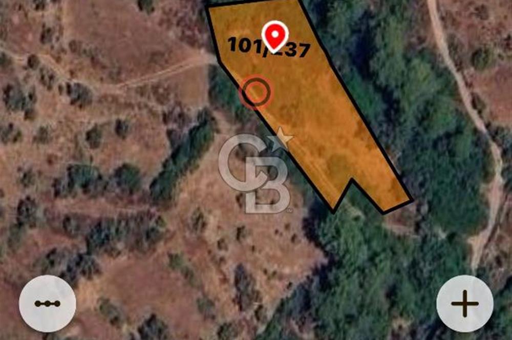 Milas,da Yatırımlık 1.633 m2 Satılık Tar