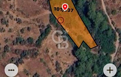 Milas,da Yatırımlık 1.633 m2 Satılık Tar