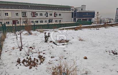 Beytepe Mavi Ladin Sitesinde 6+2 Müstakil Bahçeli Kiralık Villa