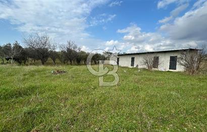 Torbalı Demirci’de köy merkezine yakın 5.930 m2 zeytinli tarla 