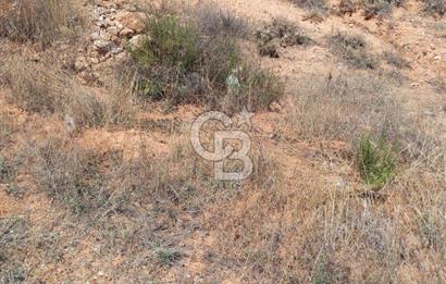 Uşak Karahallı 16 Dönüm Satılık Uygun Fiyatlı Tarla