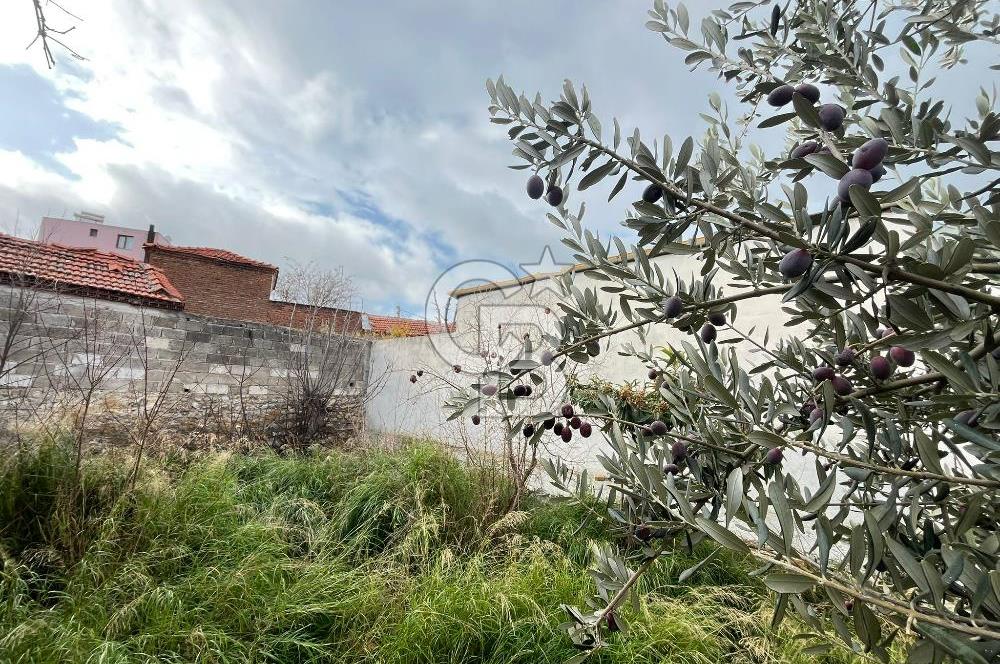 Bergama Zeytindağ Satılık Müstakil Taş Ev Ve Arsas