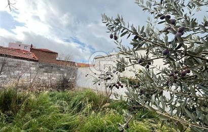 Bergama Zeytindağ Satılık Müstakil Taş Ev Ve Arsas