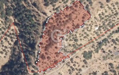 Tek Tapu! İzmir Tire Küçükburunda Satılık İncirlikZey.Yolu Var