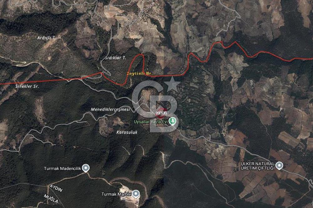 AYDIN Bozdoğan Körtekede Satılık Zeytinlik ve Cevizlik Arazi
