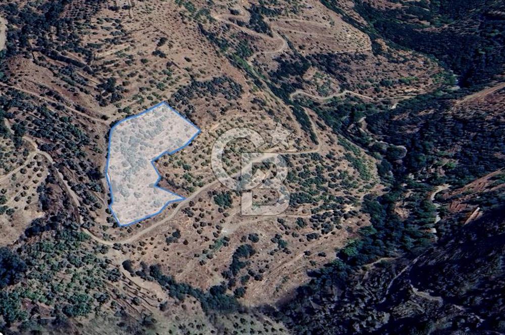Tek Tapu! İzmir Tire Küçükburunda Satılık İncirlikZey.Yolu Var