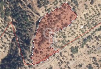 Tek Tapu! İzmir Tire Küçükburunda Satılık İncirlikZey.Yolu Var - 7 - 326706