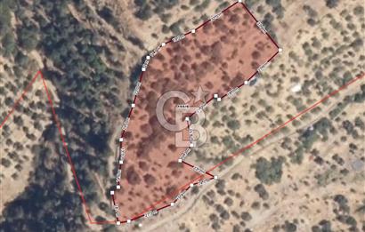 Tek Tapu! İzmir Tire Küçükburunda Satılık İncirlikZey.Yolu Var