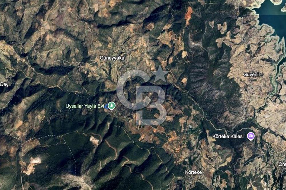 AYDIN Bozdoğan Körtekede Satılık Zeytinlik ve Cevizlik Arazi