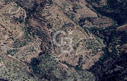 Tek Tapu! İzmir Tire Küçükburunda Satılık İncirlikZey.Yolu Var