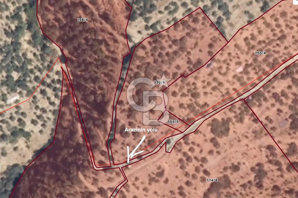 Tek Tapu! İzmir Tire Küçükburunda Satılık İncirlikZey.Yolu Var