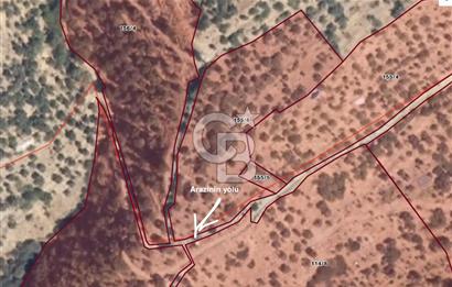 Tek Tapu! İzmir Tire Küçükburunda Satılık İncirlikZey.Yolu Var