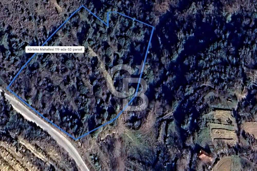 AYDIN Bozdoğan Körtekede Satılık Zeytinlik ve Cevizlik Arazi