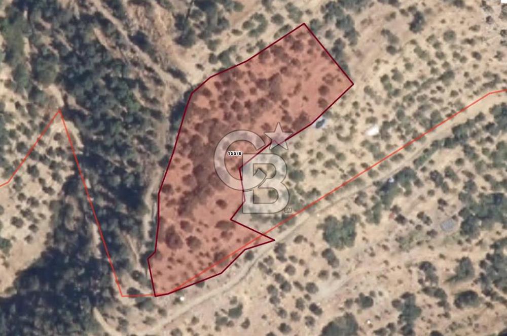 Tek Tapu! İzmir Tire Küçükburunda Satılık İncirlikZey.Yolu Var